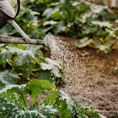 Agri studies (7)