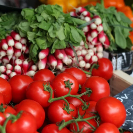 South-African-agricultural-exports-in-African-markets-in-Johannesburg-Pretoria-Durban-Capetown-scaled-1-458×458