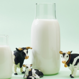 Harvesting Animal Products
