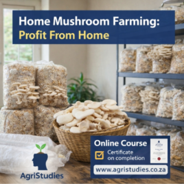 Mushrooms – Home Farming For Profit ™